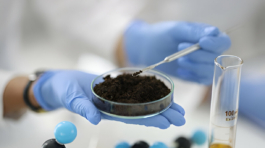 [GetPaidStock.com]-67e69432cc976