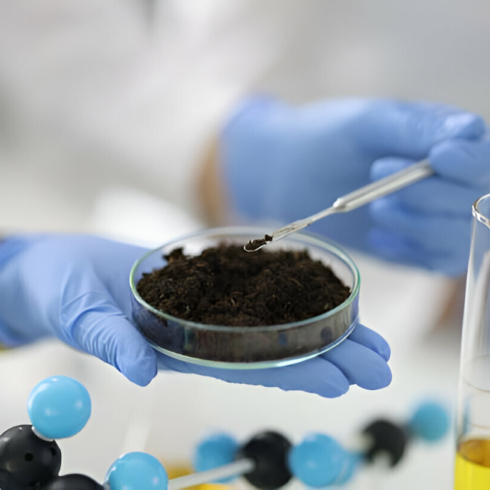 [GetPaidStock.com]-67e69432cc976