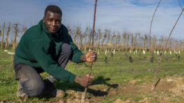 [GetPaidStock.com]-67e6b2e55952a