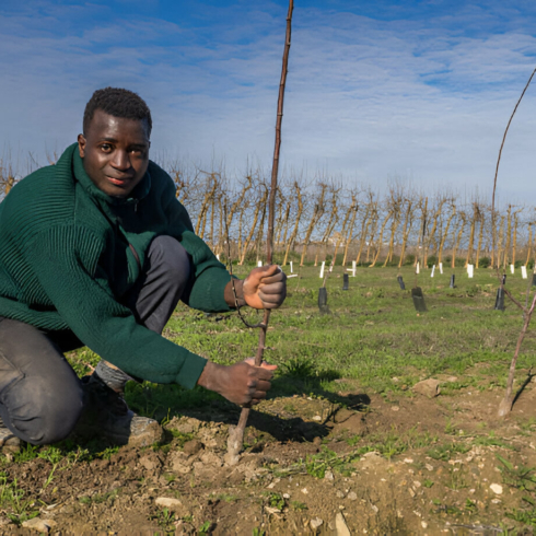 [GetPaidStock.com]-67e6b2e55952a