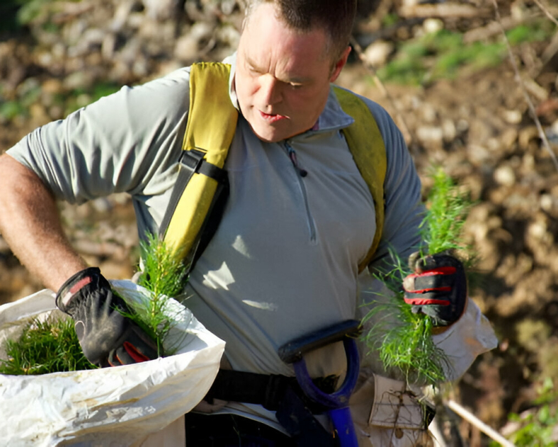 [GetPaidStock.com]-67e6ef20428d0